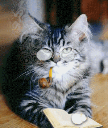 Czytający kot z fajką